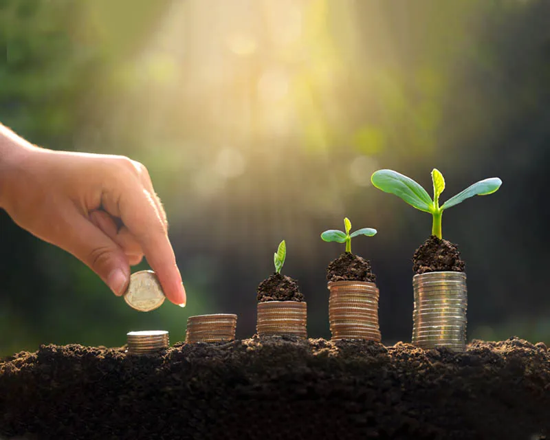 Development and Human Relief Society – INSAN